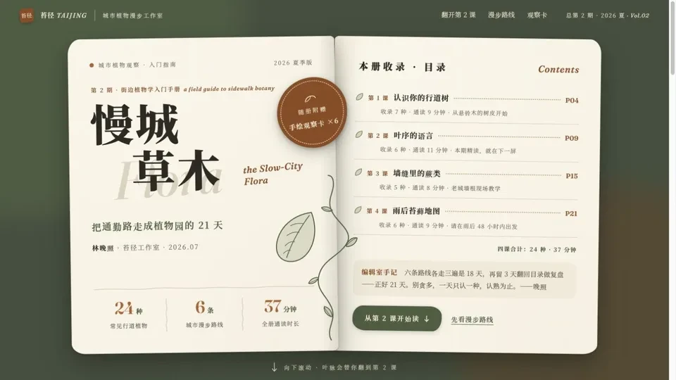 案头手绘双页刊 preview